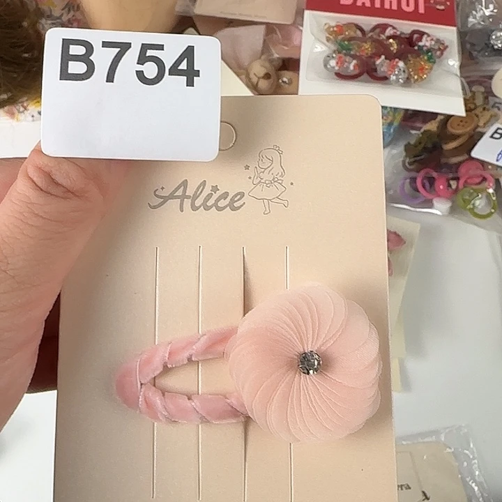 皮质铁合金B754发夹