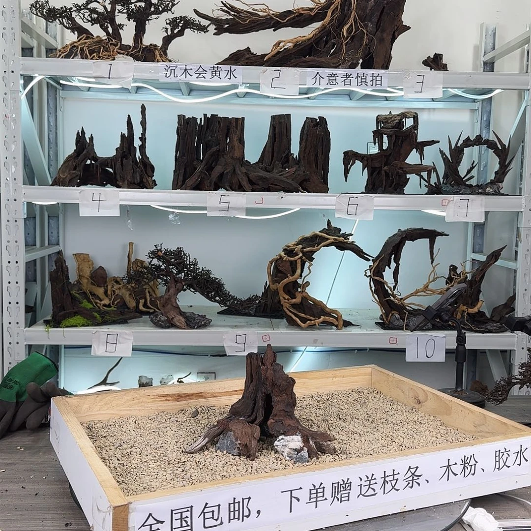 沉木造景沉木造景