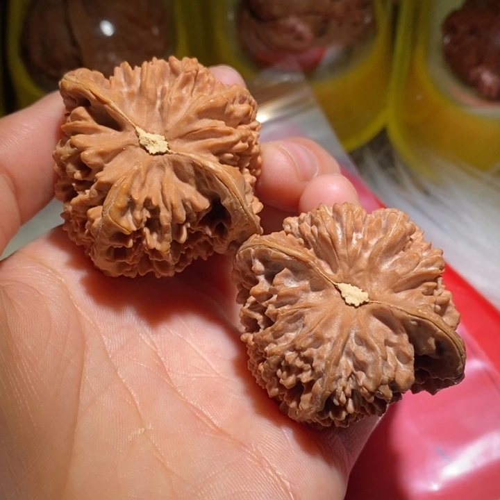 ****鱼吊坠文玩核桃精品课程的教学和