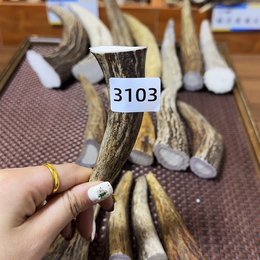 鹿骨手串/手链角尖3103