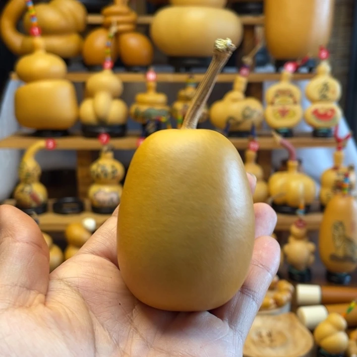 晓天然葫芦自然生长