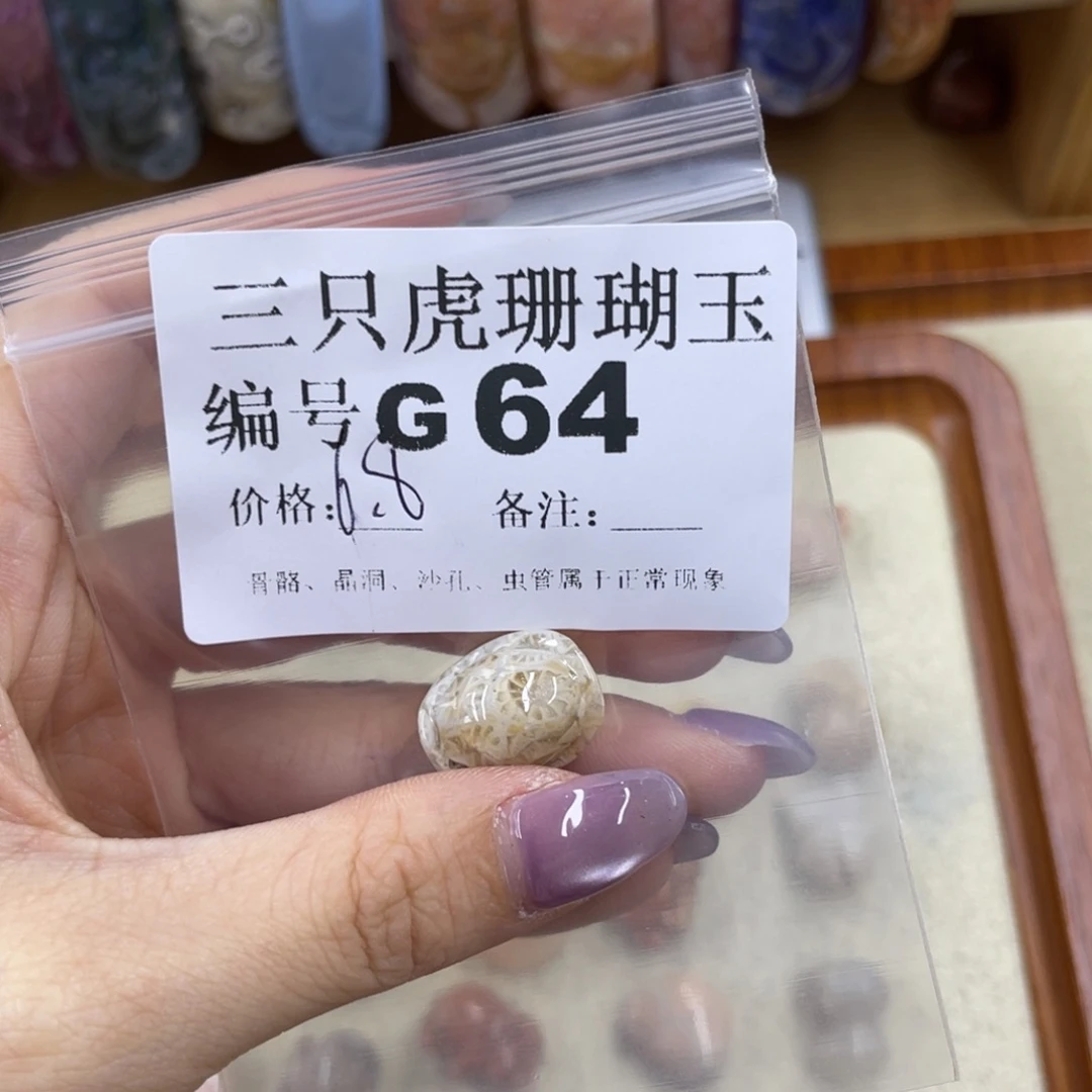 T***y未镶嵌h硅化珊瑚（珊瑚玉）