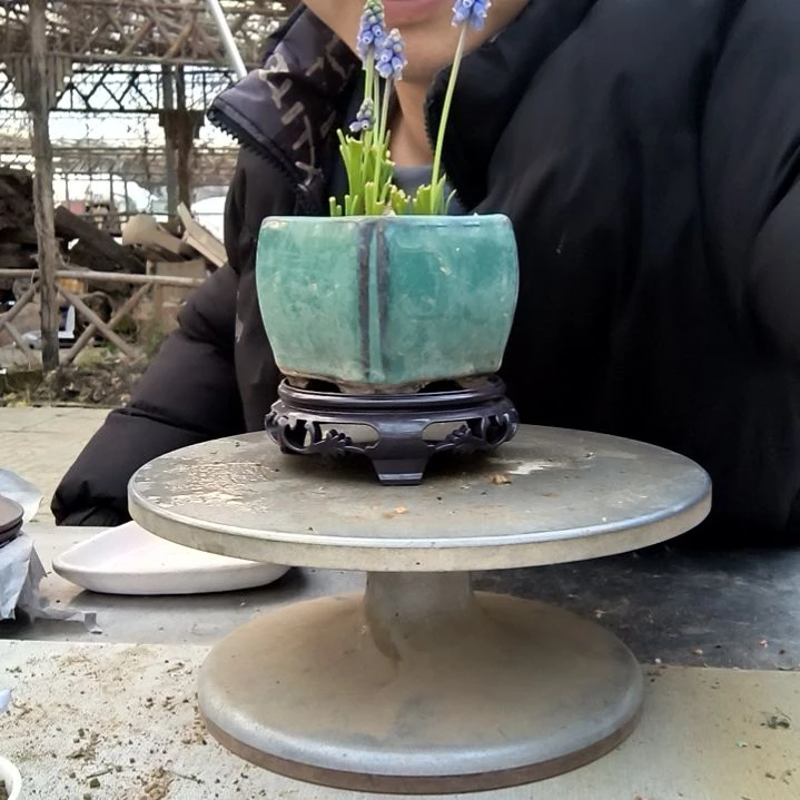 清*小盆景小植物一物一拍163