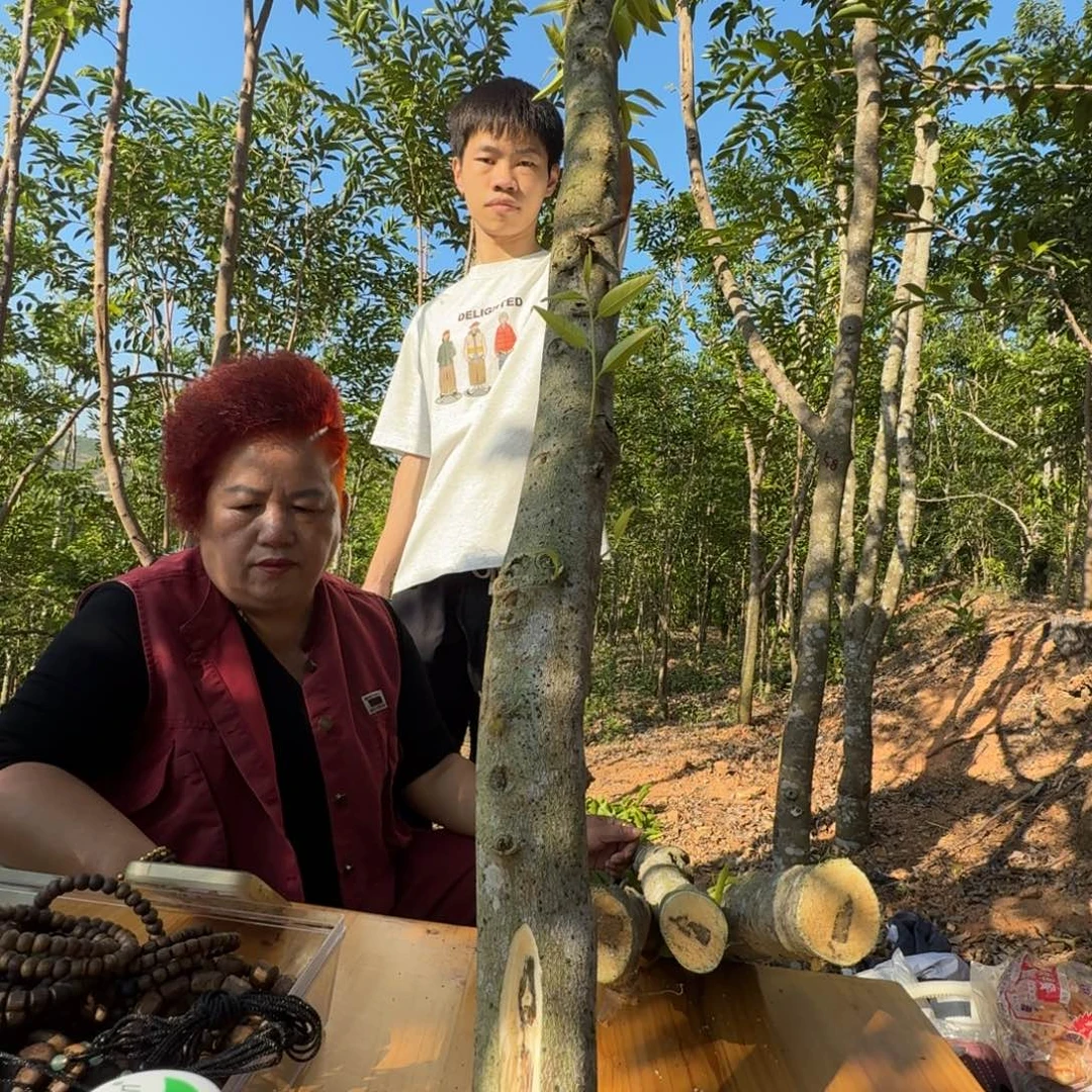 线香奇楠沉香原木