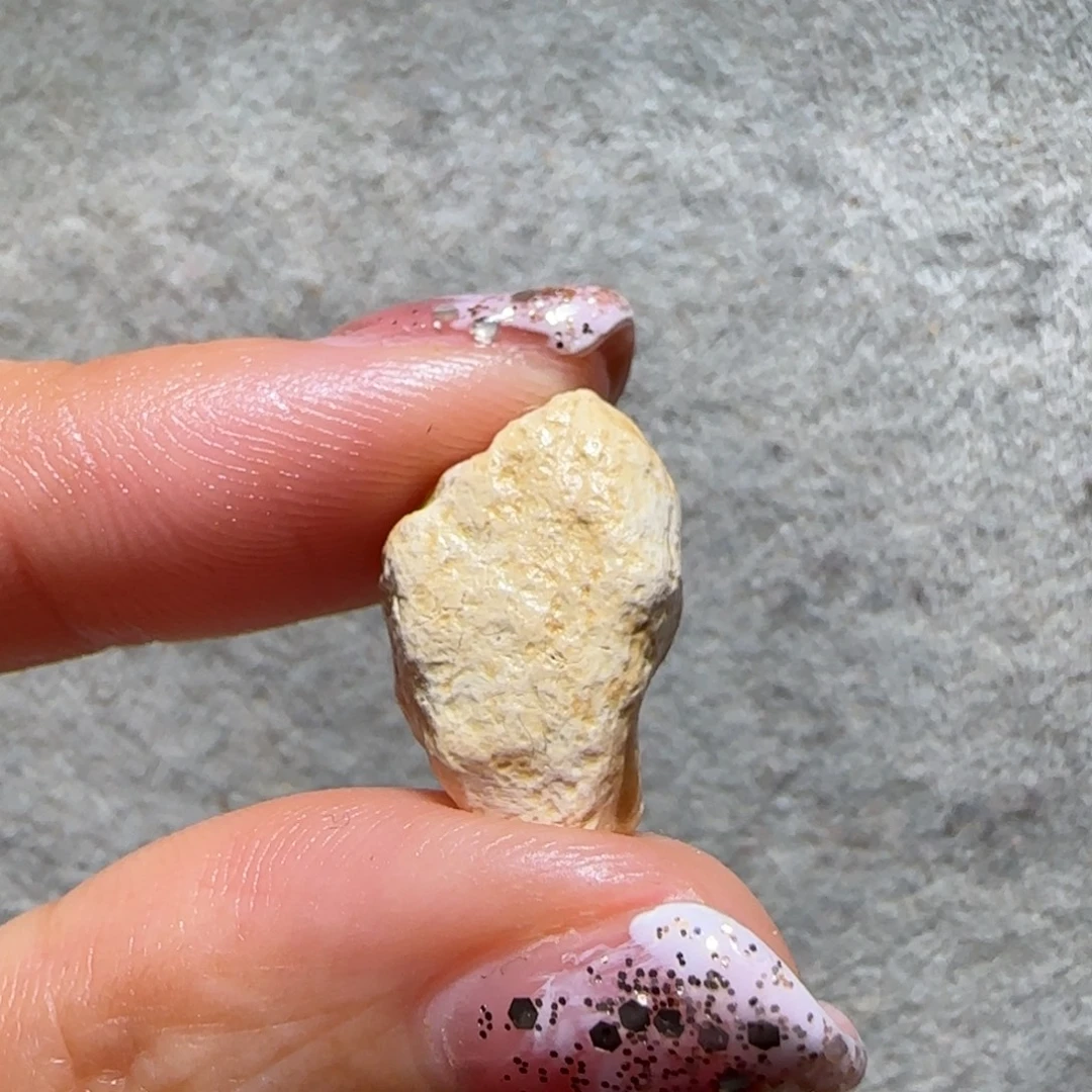 闲***鱼琥珀未镶嵌裸石专拍