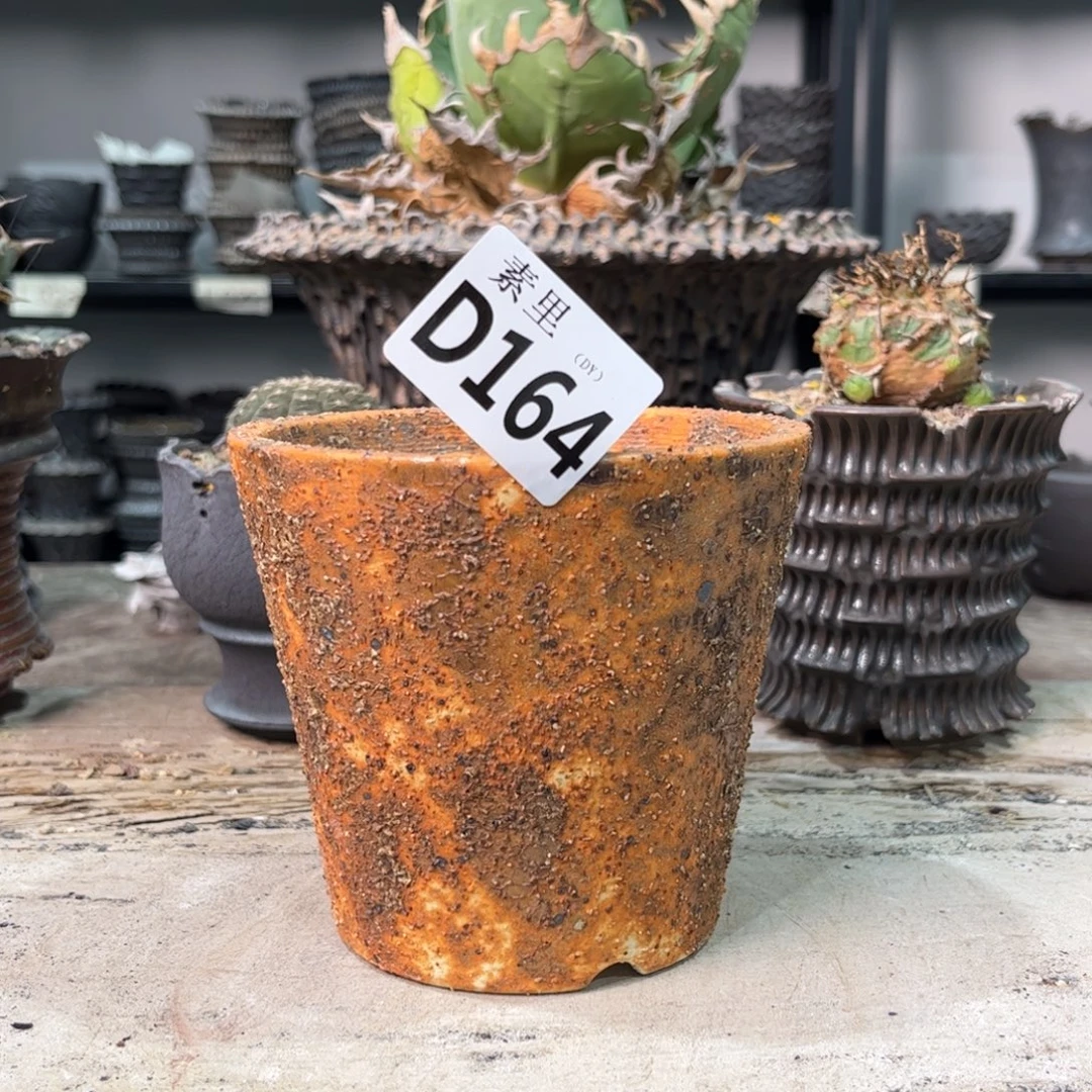 陶内口10.3高6.5景德镇