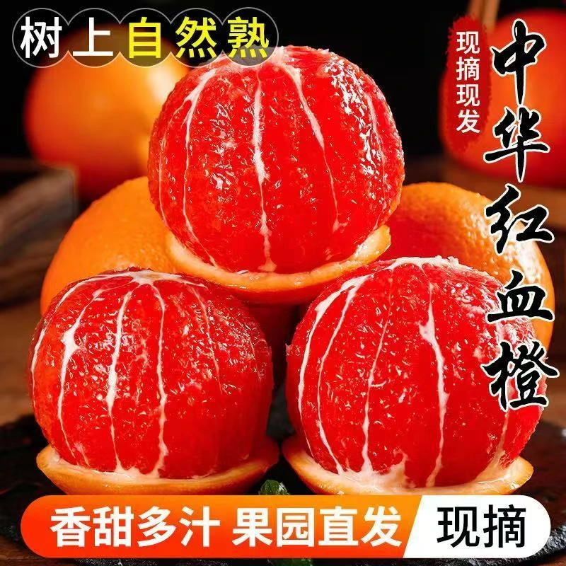 产地直发中华红橙-走鸿运当季红心正宗甜脐整箱新鲜