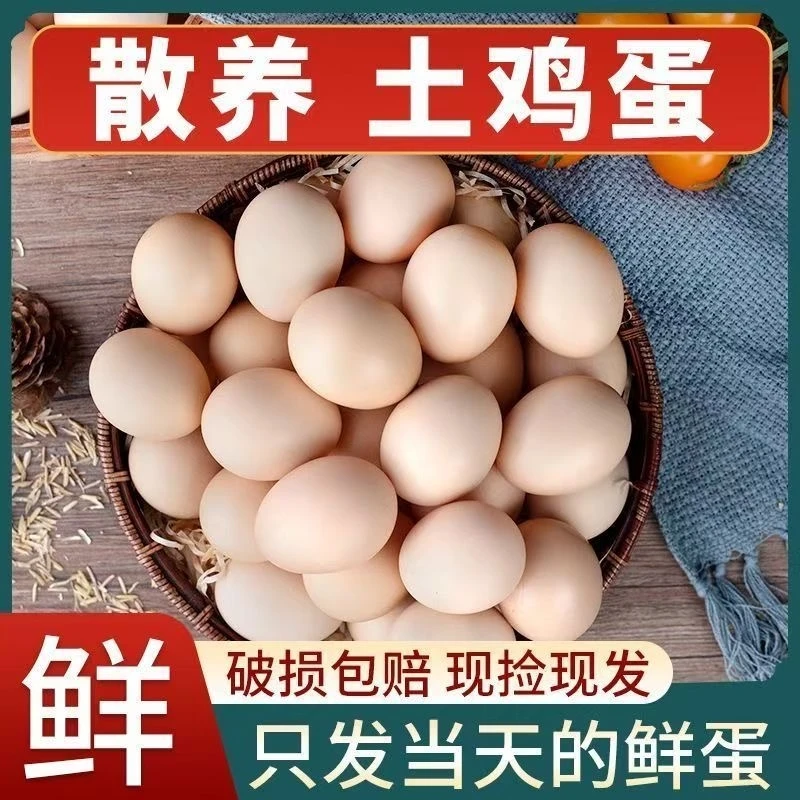 农家散养土鸡蛋正宗蛋新鲜早餐营养鸡蛋现捡现发谷物喂养土鸡蛋