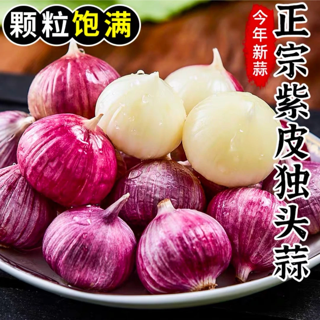 新鲜现挖紫皮独头蒜香辣饱满辛辣调味农产品