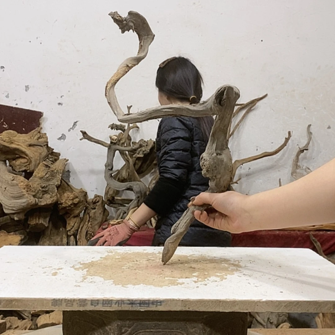 【闪购商品】柏木快**人我们都是好孩子