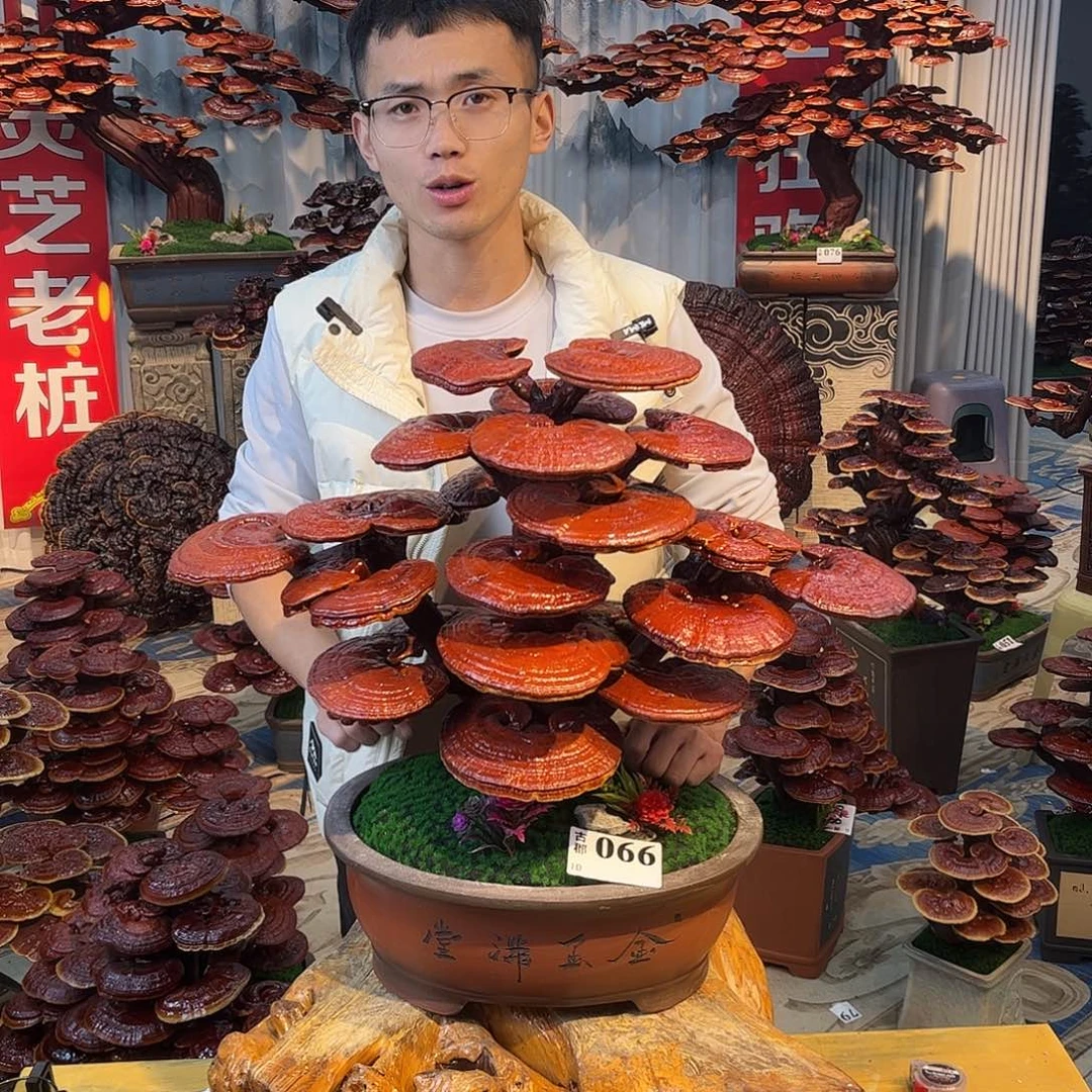 无花朵5888888889