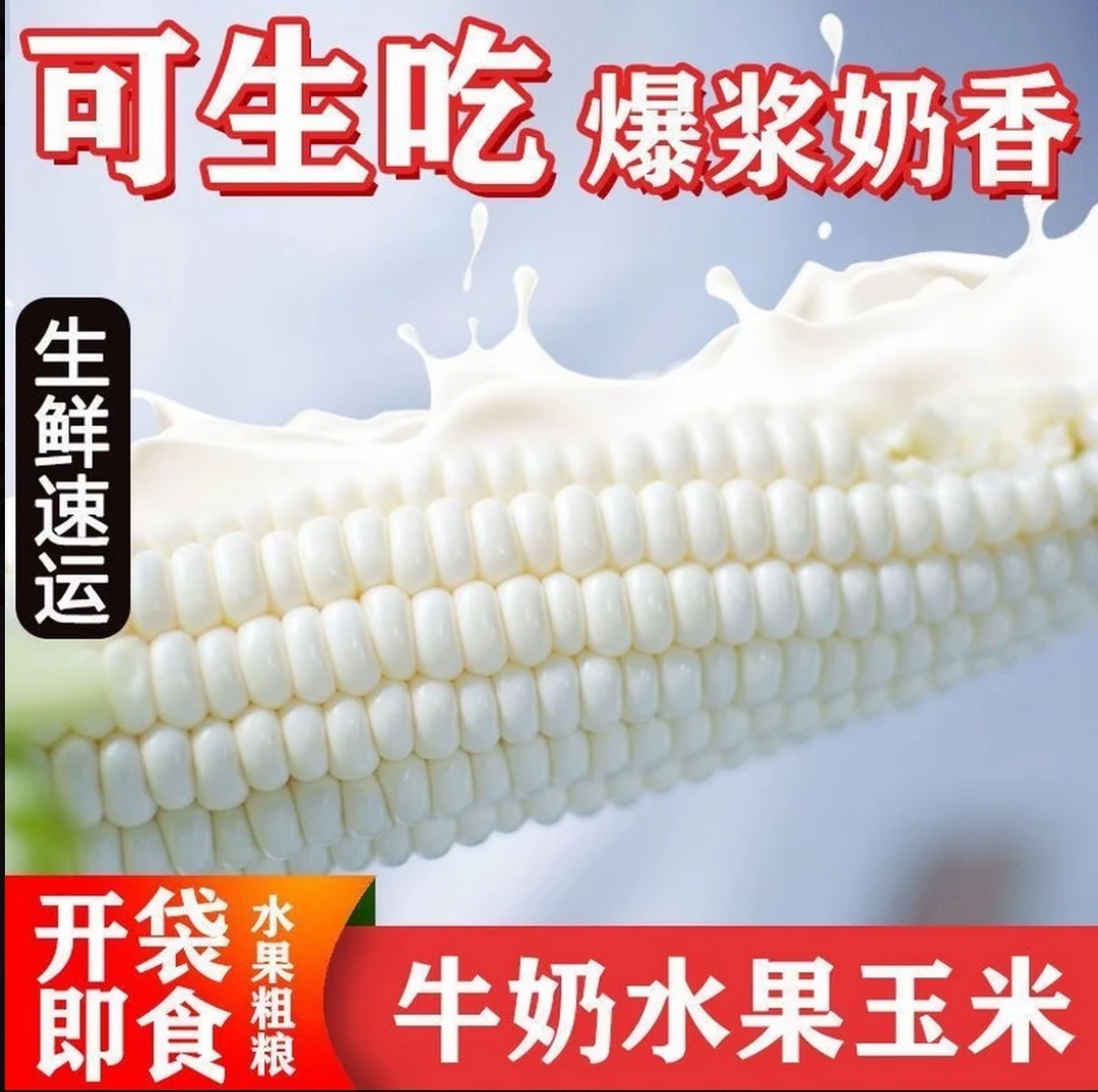 赤道线网红牛奶玉米可生吃清甜爆汁水果玉米奶香浓郁新鲜饱满
