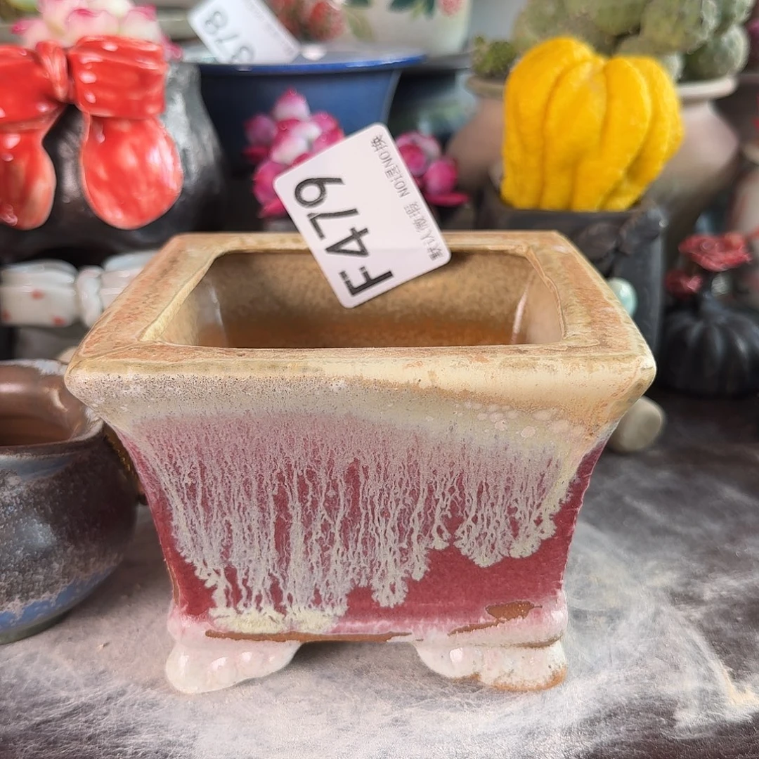 重庆小燕子欢迎大家479