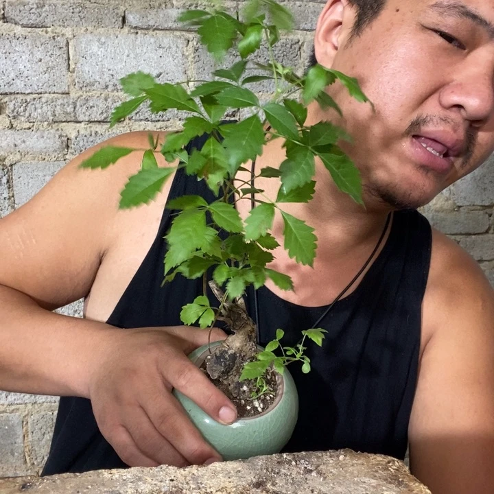 退款拉黑一物一拍90