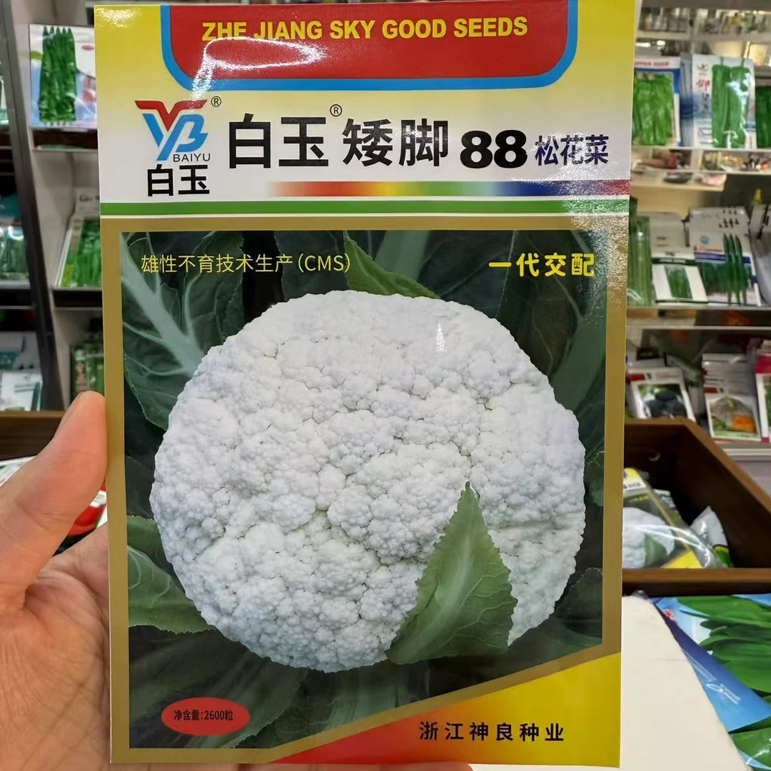 晚熟耐寒松花菜种子高产花椰菜种籽适合南北方春秋播种蔬菜菜花