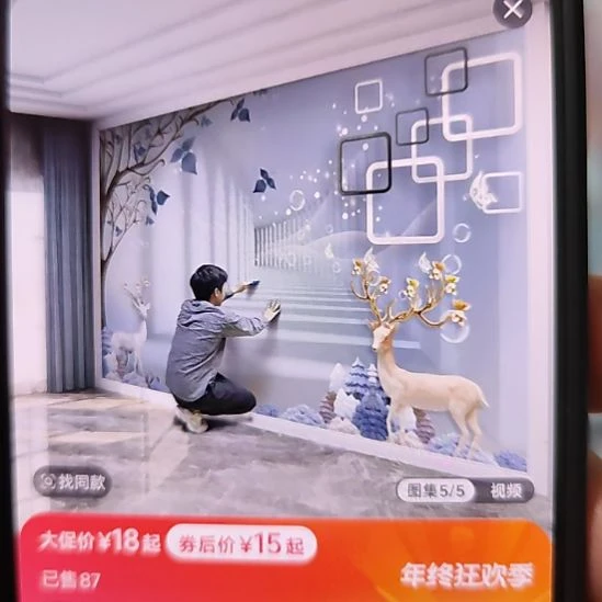 念***边客厅电视墙壁画壁布