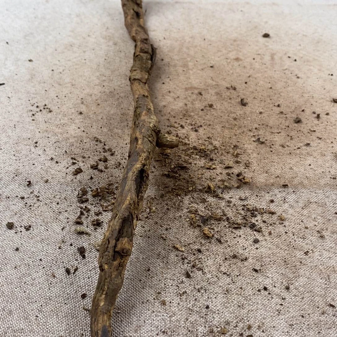 王***飞黄花梨/降香黄檀黄花梨随形料子