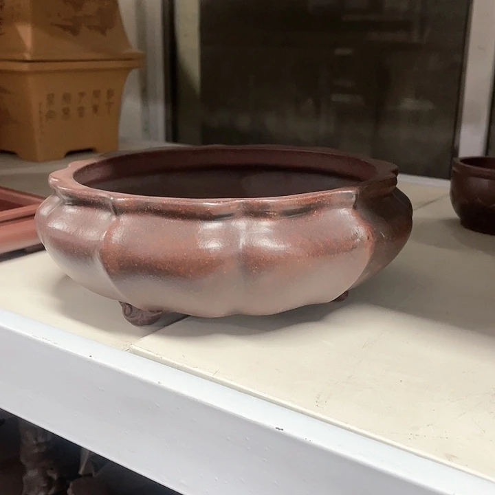 紫砂花盆我们的生活也是