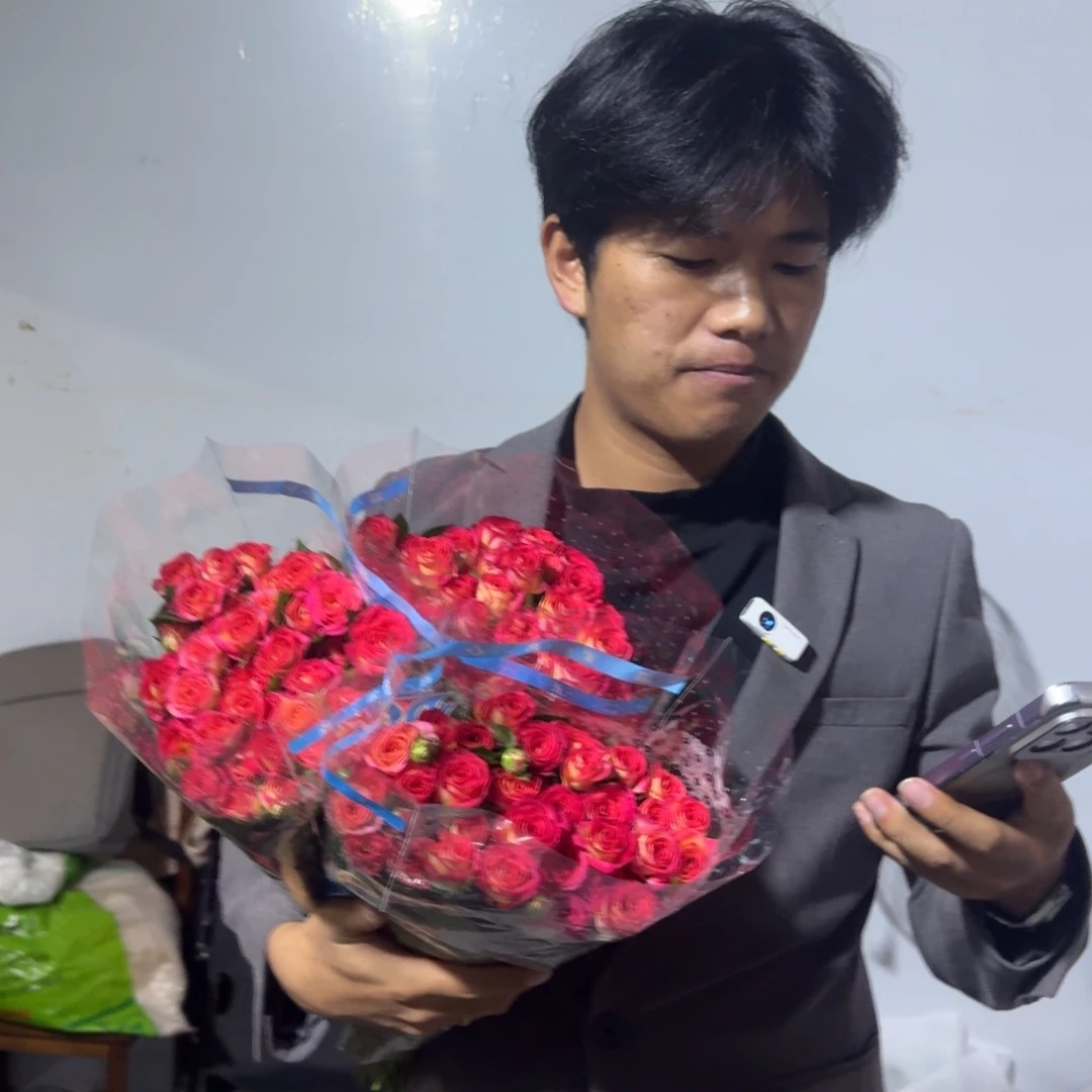 爱丽丝3扎包邮价秒杀