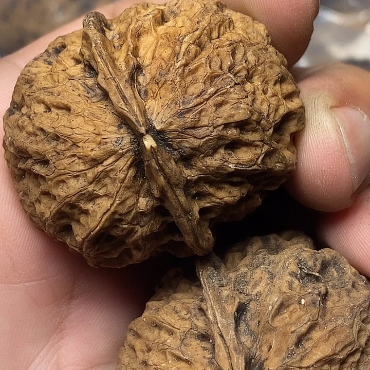 文玩核桃把件云南铁核桃B7
