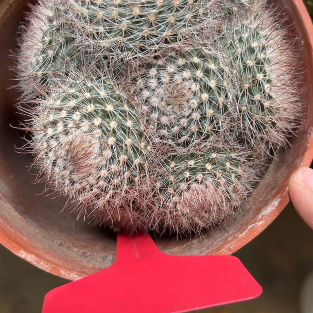 *****哈哈哈哈哈哈哈哈哈哈