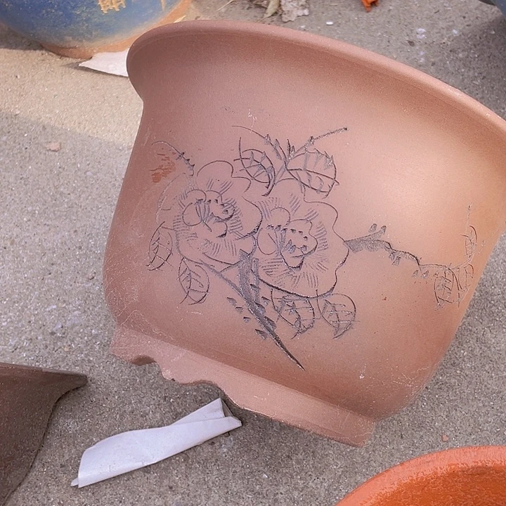 紫砂30平角金钟花盆哦哈哈哈