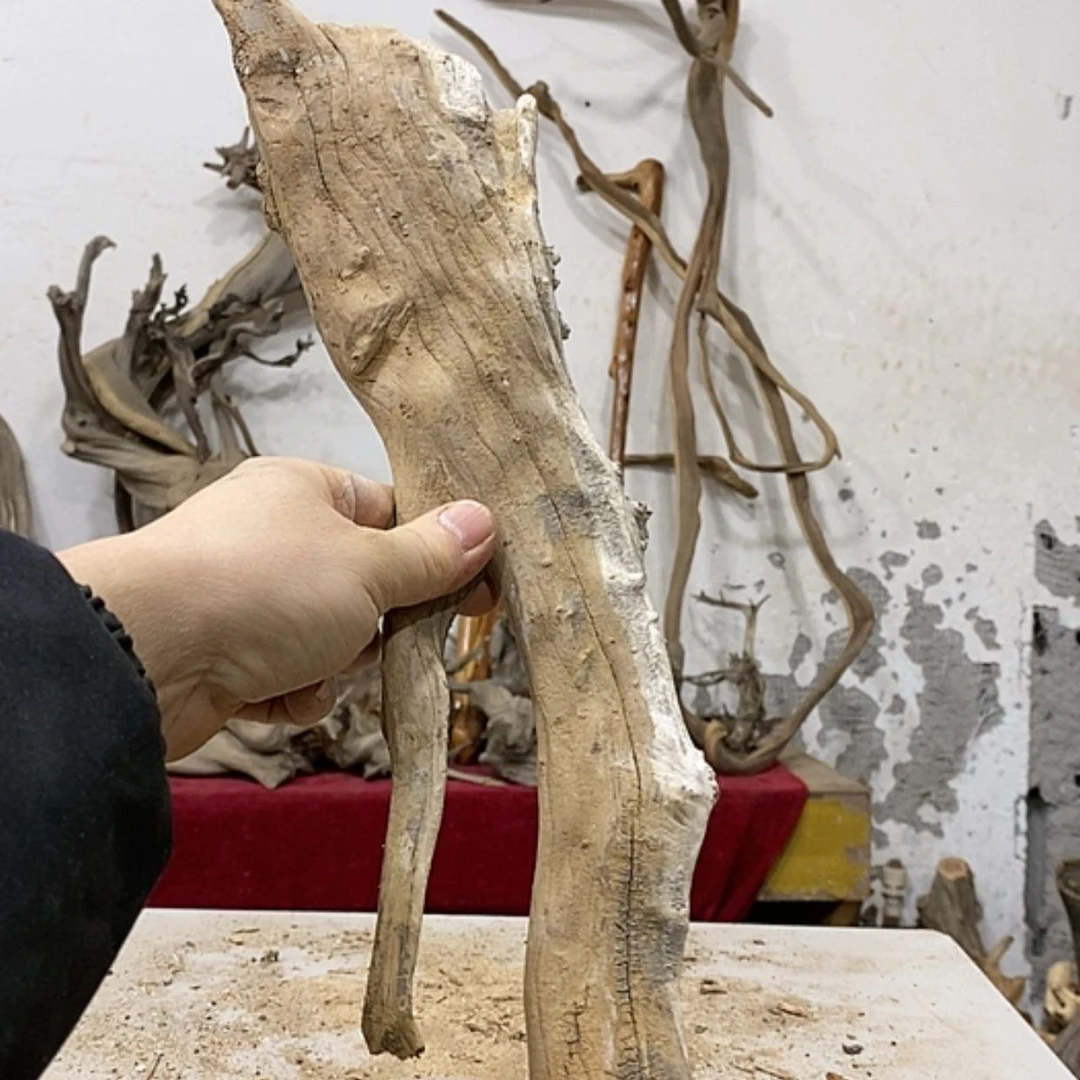 【闪购商品】柏木上****啦我们都是好孩子