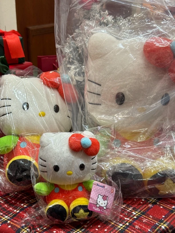 蒜鸟专拍kitty套装