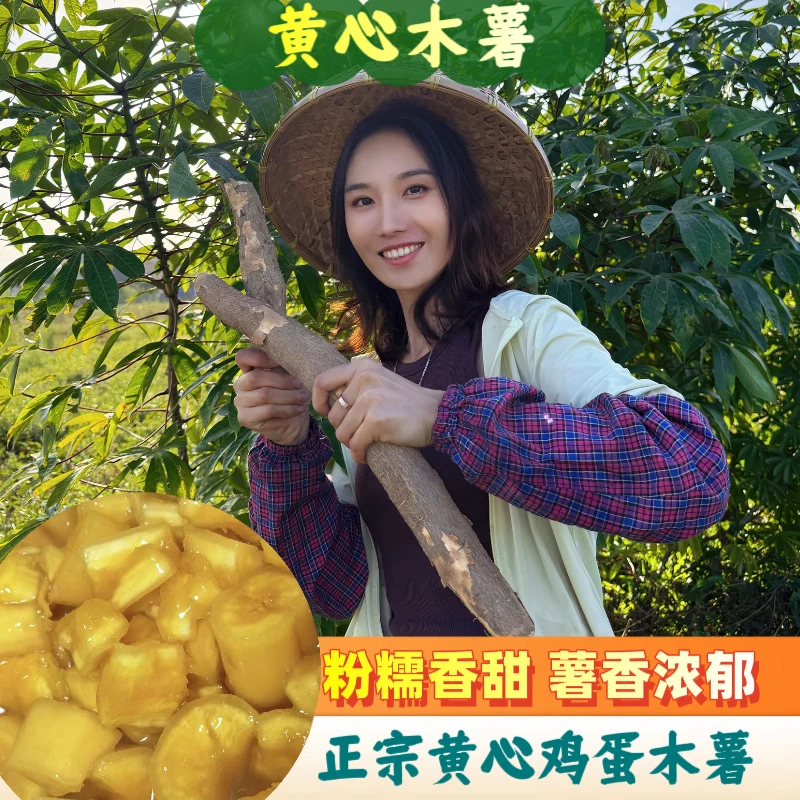 新鲜黄心木薯广西特产粉糯煮糖水必备