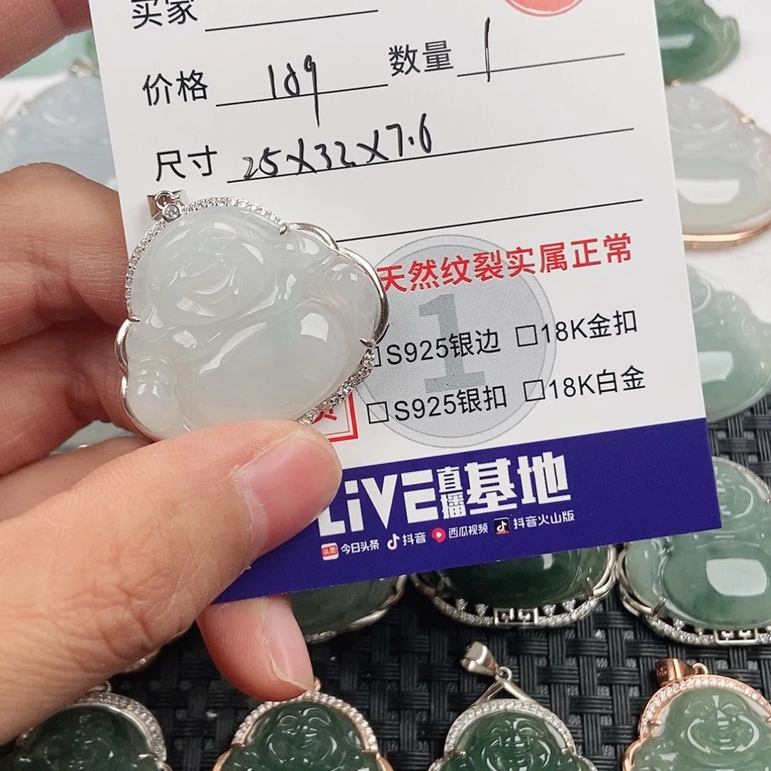 翡翠银S925镶嵌颈饰