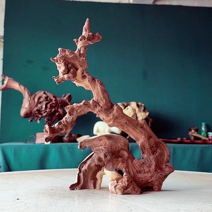 黑果木特**行777 金丝红木羊蹄甲半成品