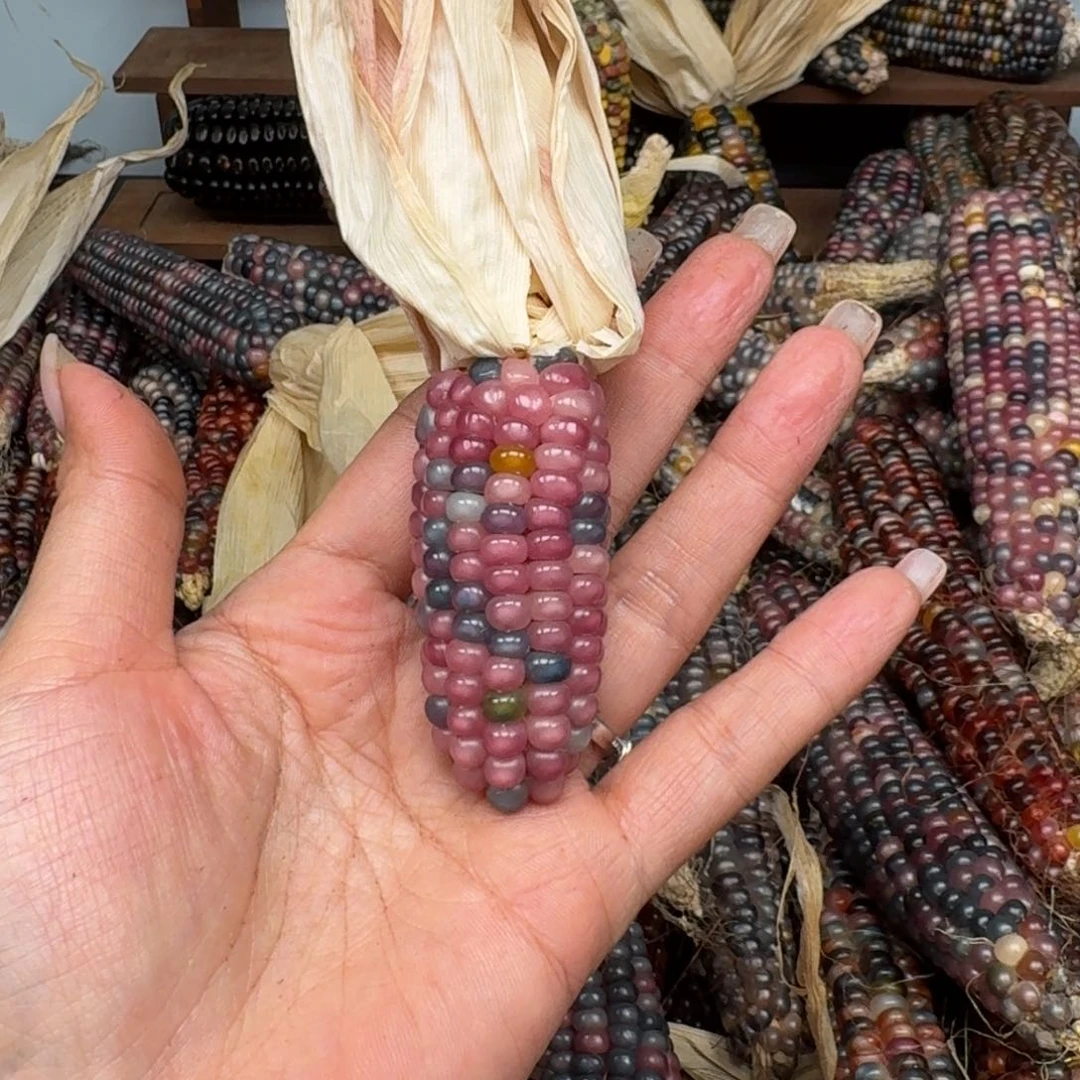 柏香籽/百香籽吊坠i*