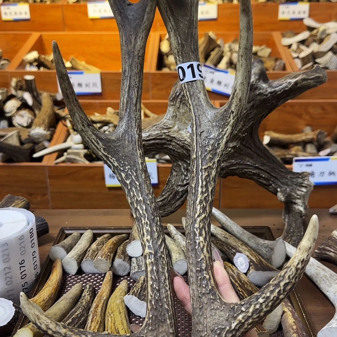 鹿骨手串/手链019梅花鹿对角