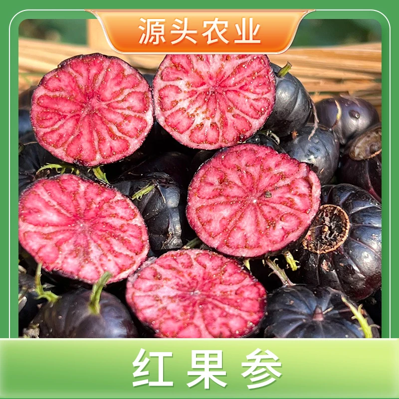 【红果参】云南水果红参果脆甜多汁新鲜摘发2盒（125g/盒）W