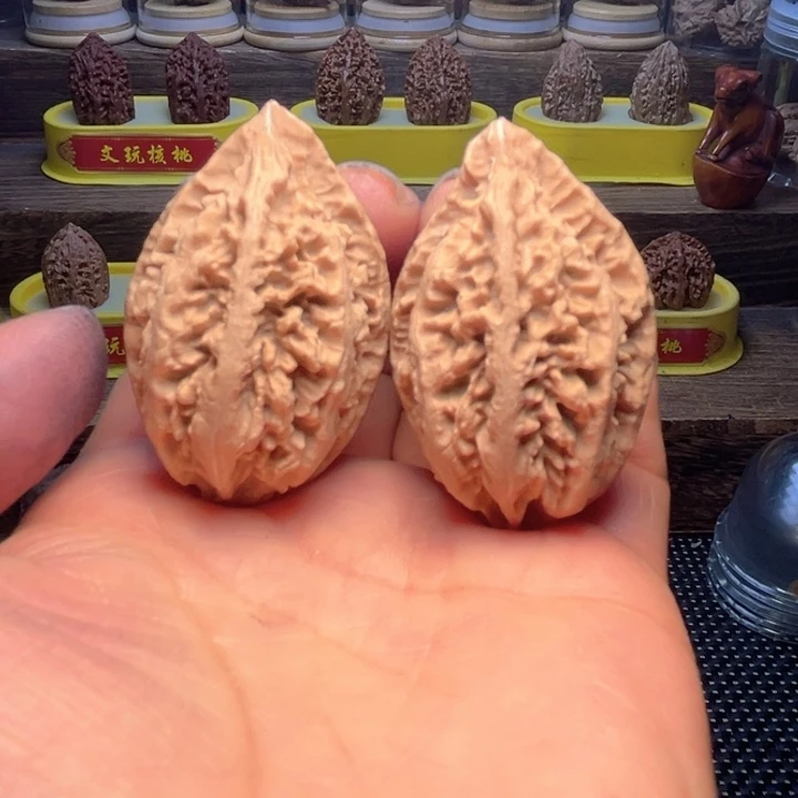 核桃43号车放漏漏漏漏咯