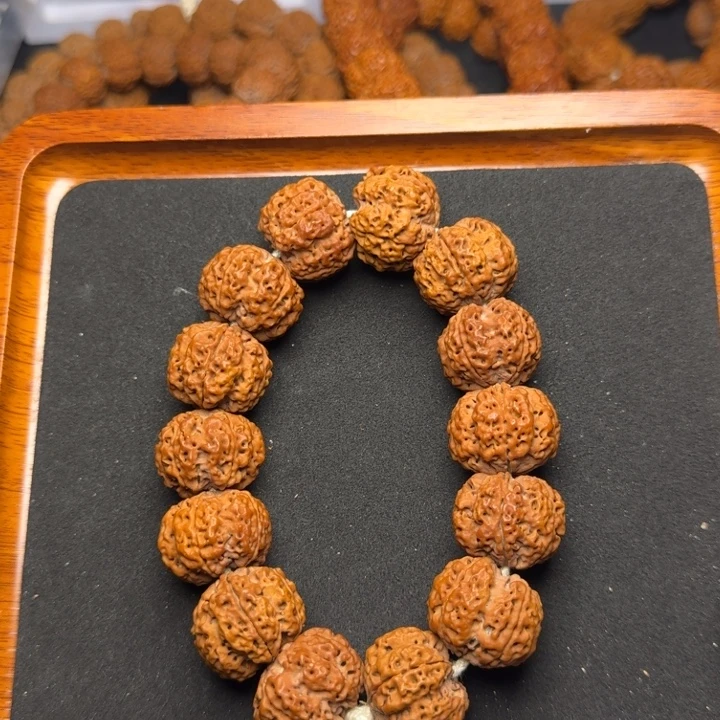 手串金刚菩提23尺寸梅花