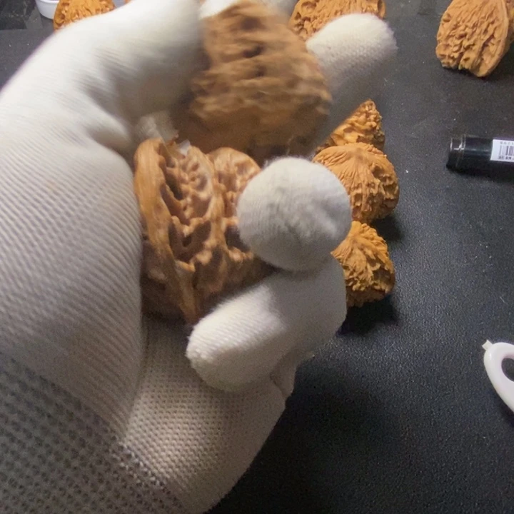 金***领骨质密度绝对没问题