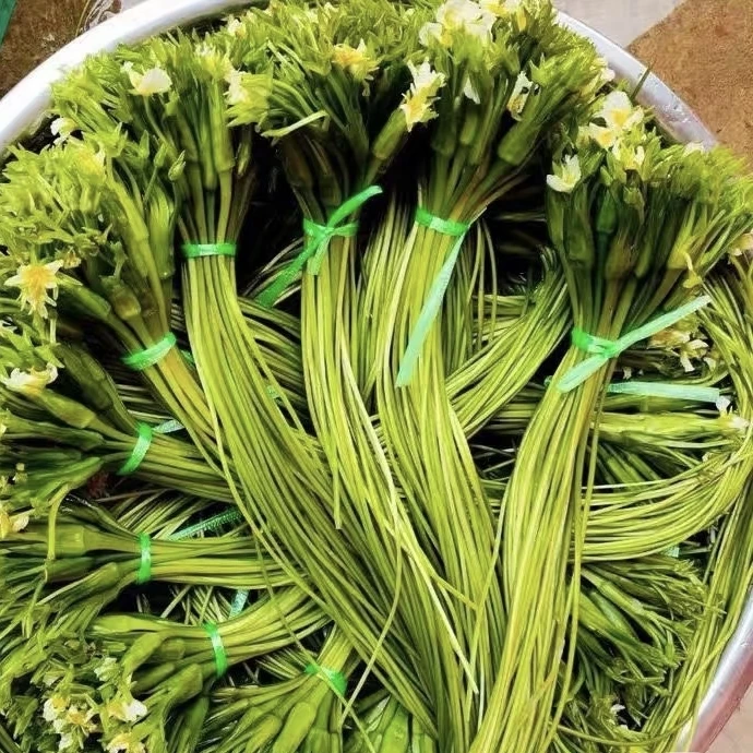 【云南一双筷儿专属】云南大理特产新鲜海菜花、水性杨花