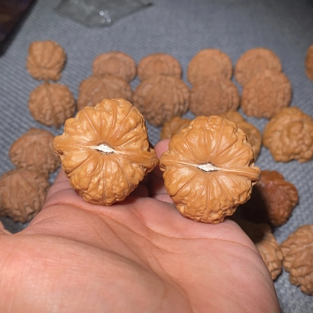 40尺南瓜。