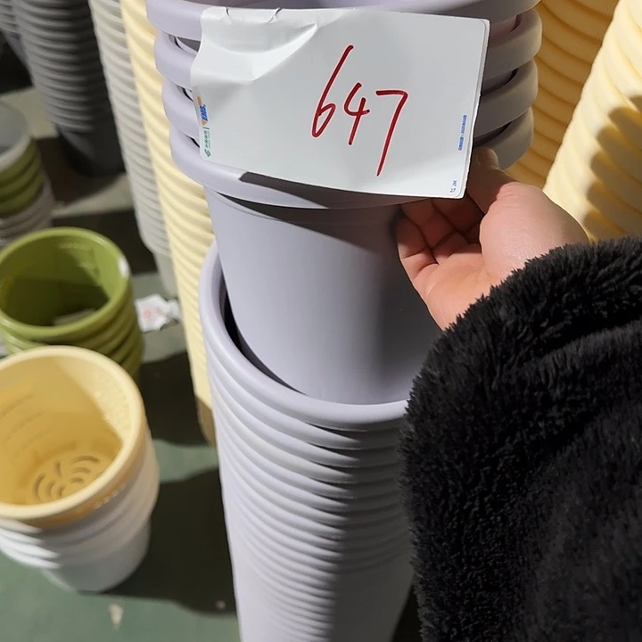 编号647特价10个无托