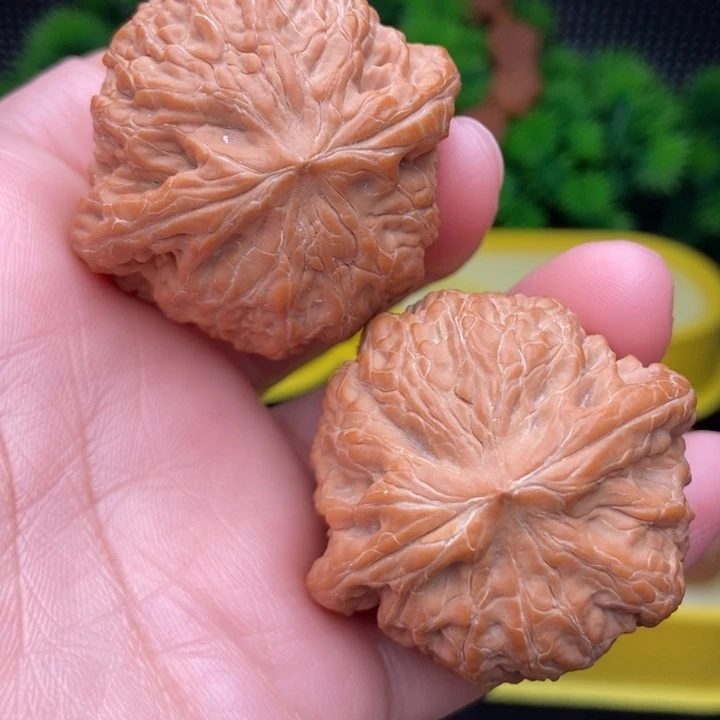 铁锤43全品11111