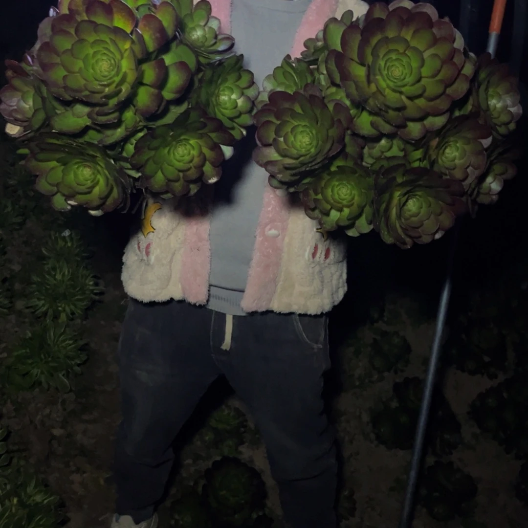 万圣节多肉植物捧花