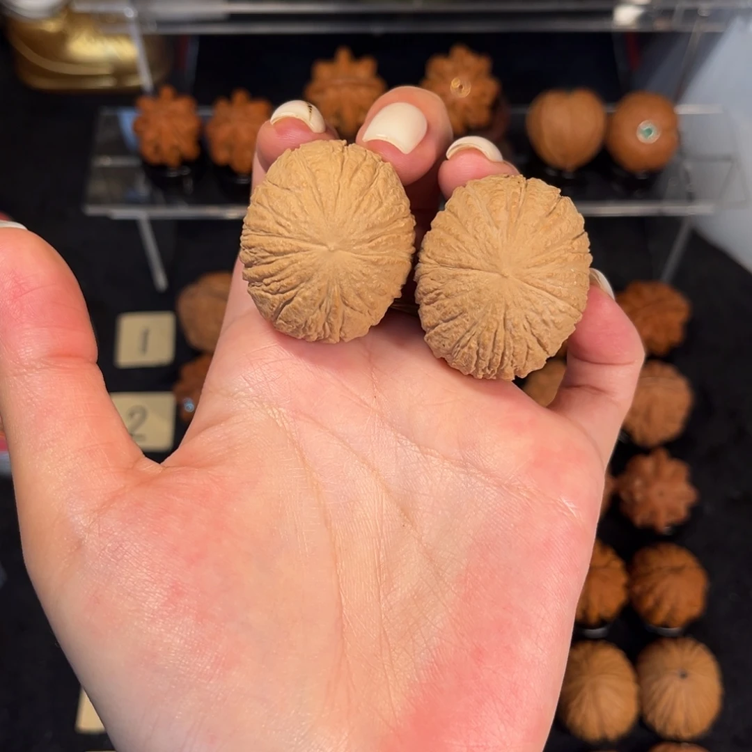 文玩核桃把件36尺猴头元宝未打底