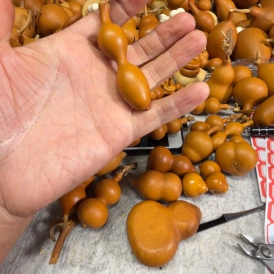 蛋***~淡淡的一把蚂蚁一把蚂蚁葫芦淡淡的