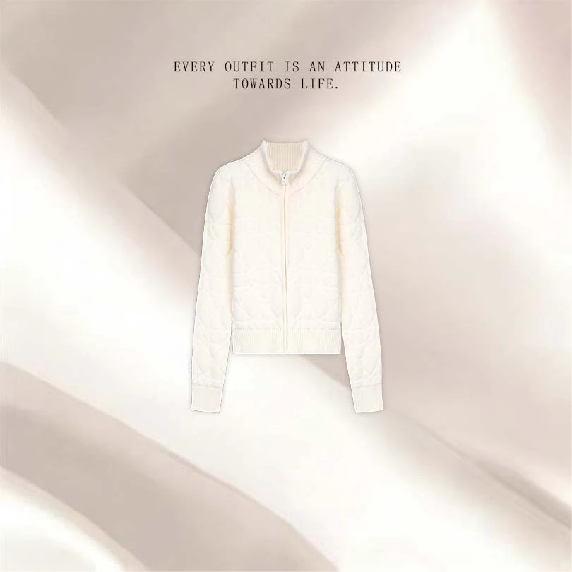 【57】2025秋冬长袖高领高级拉链毛衣百搭显瘦知性针织衫女A518