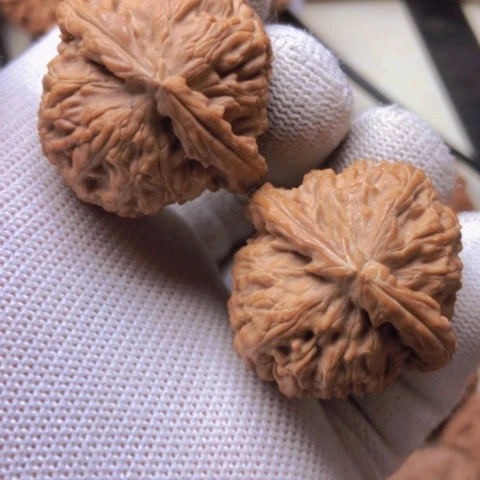 【闪购商品】桃核吊坠白狮子狮子头