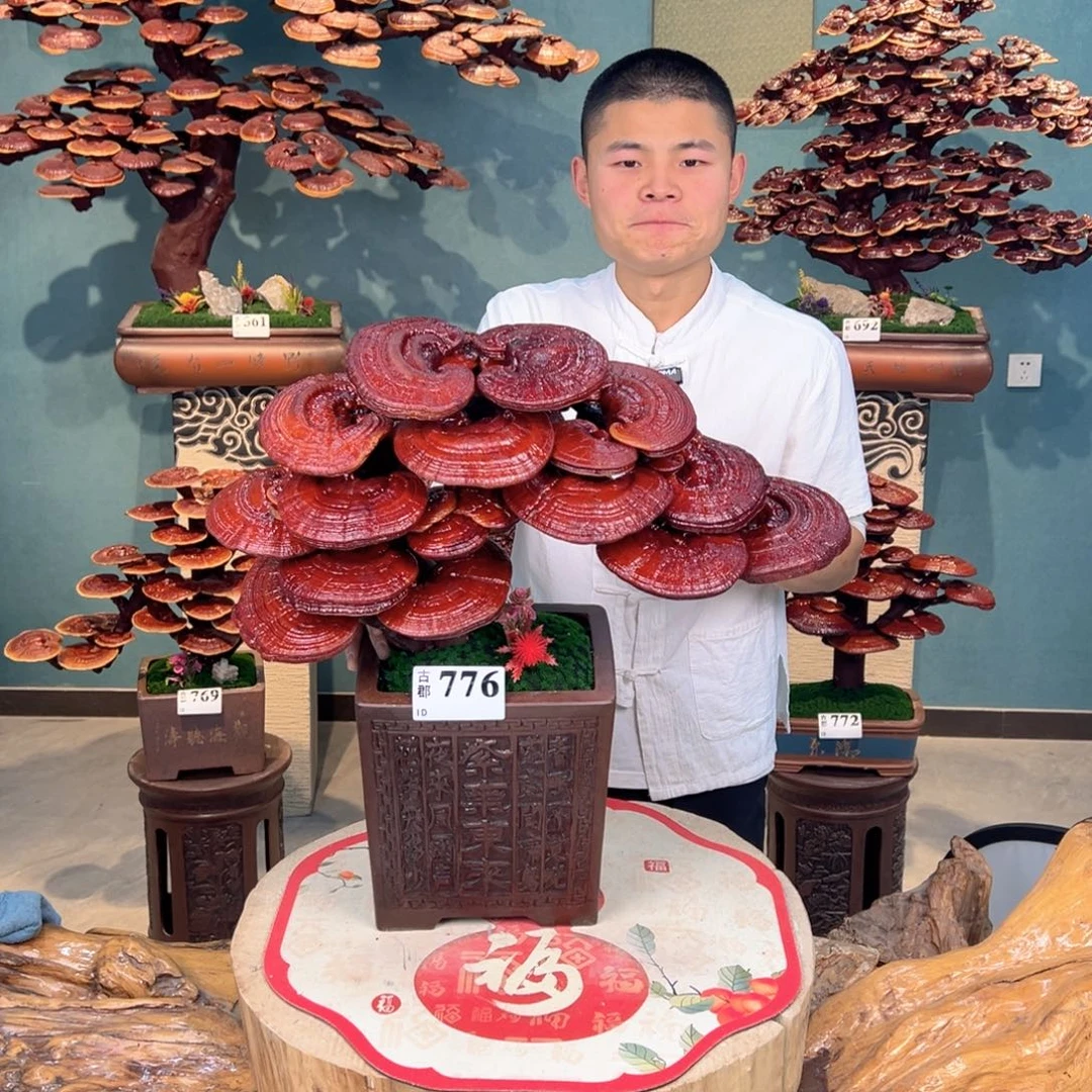 无花朵8888888888888888