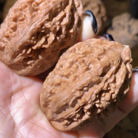 把件文玩核桃东北野生楸子小美33