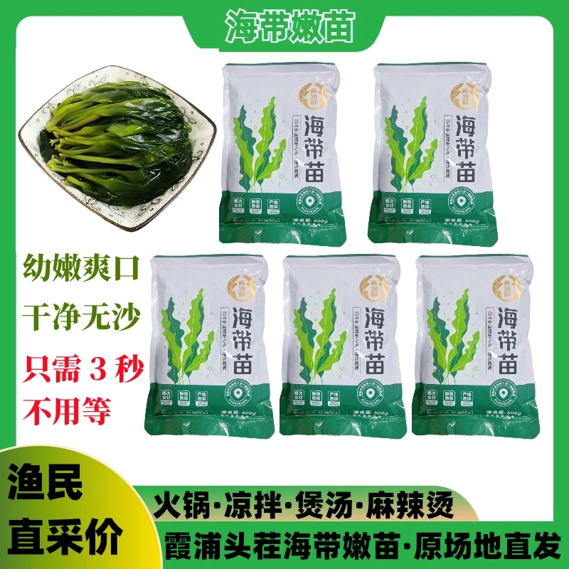 5X【500克】福建霞浦海带苗嫩苗新鲜盐渍小海带芽裙带菜火锅料凉拌