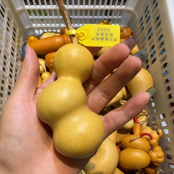 T***i哈哈哈哈哈哈哈哈哈哈哈